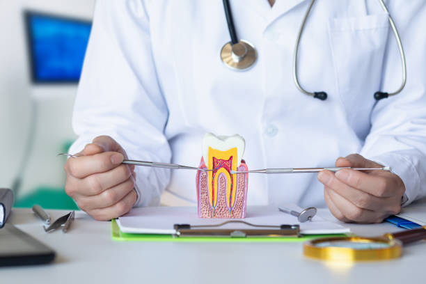 Best Emergency Dental Care for Broken or Chipped Teeth in Lake Caroline, VA
